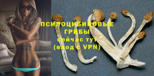 МДМА Абдулино