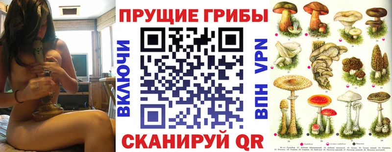 Галлюциногенные грибы мицелий  купить закладку  Нестеровская 